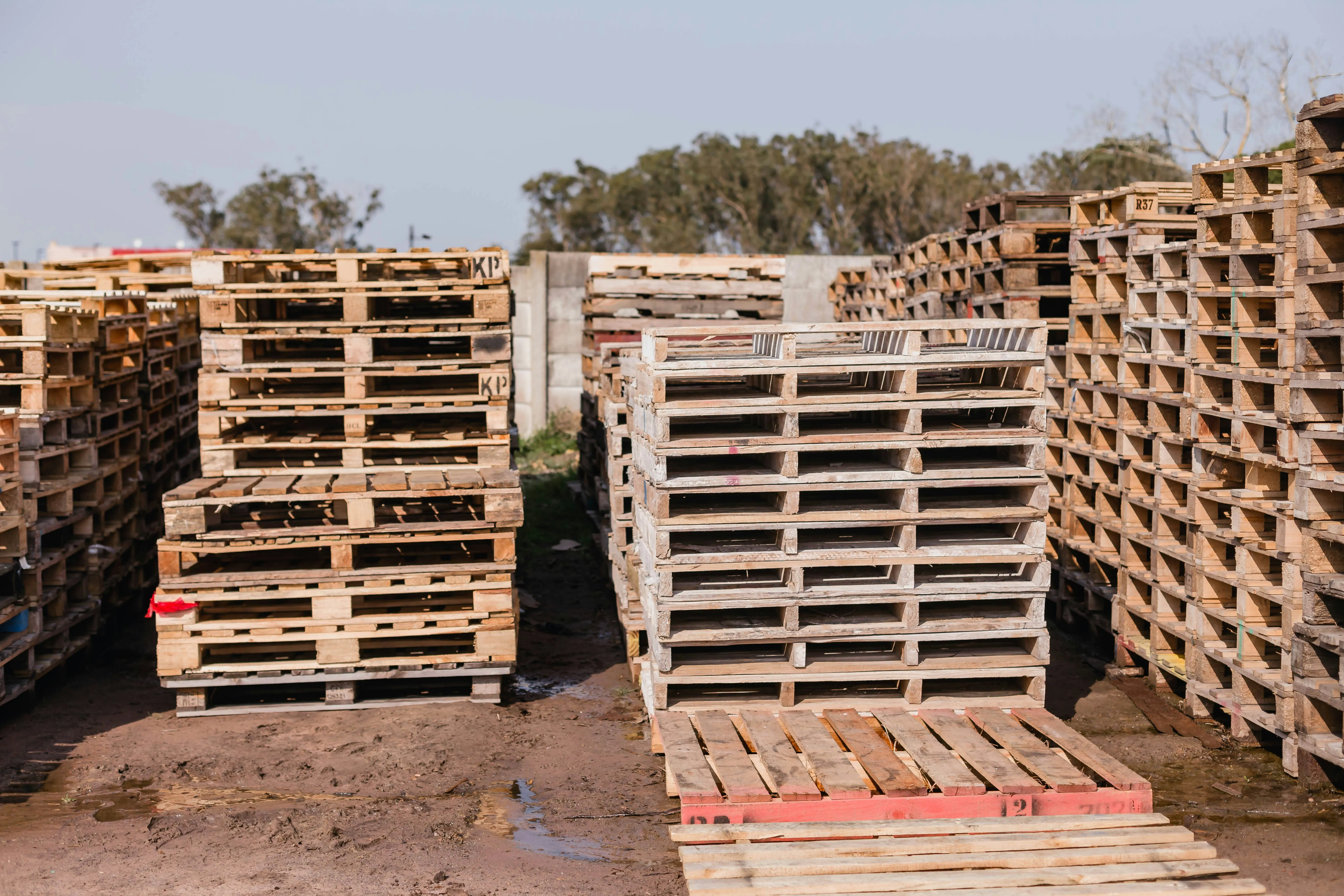 Custom pallet design services tailored to unique cargo dimensions